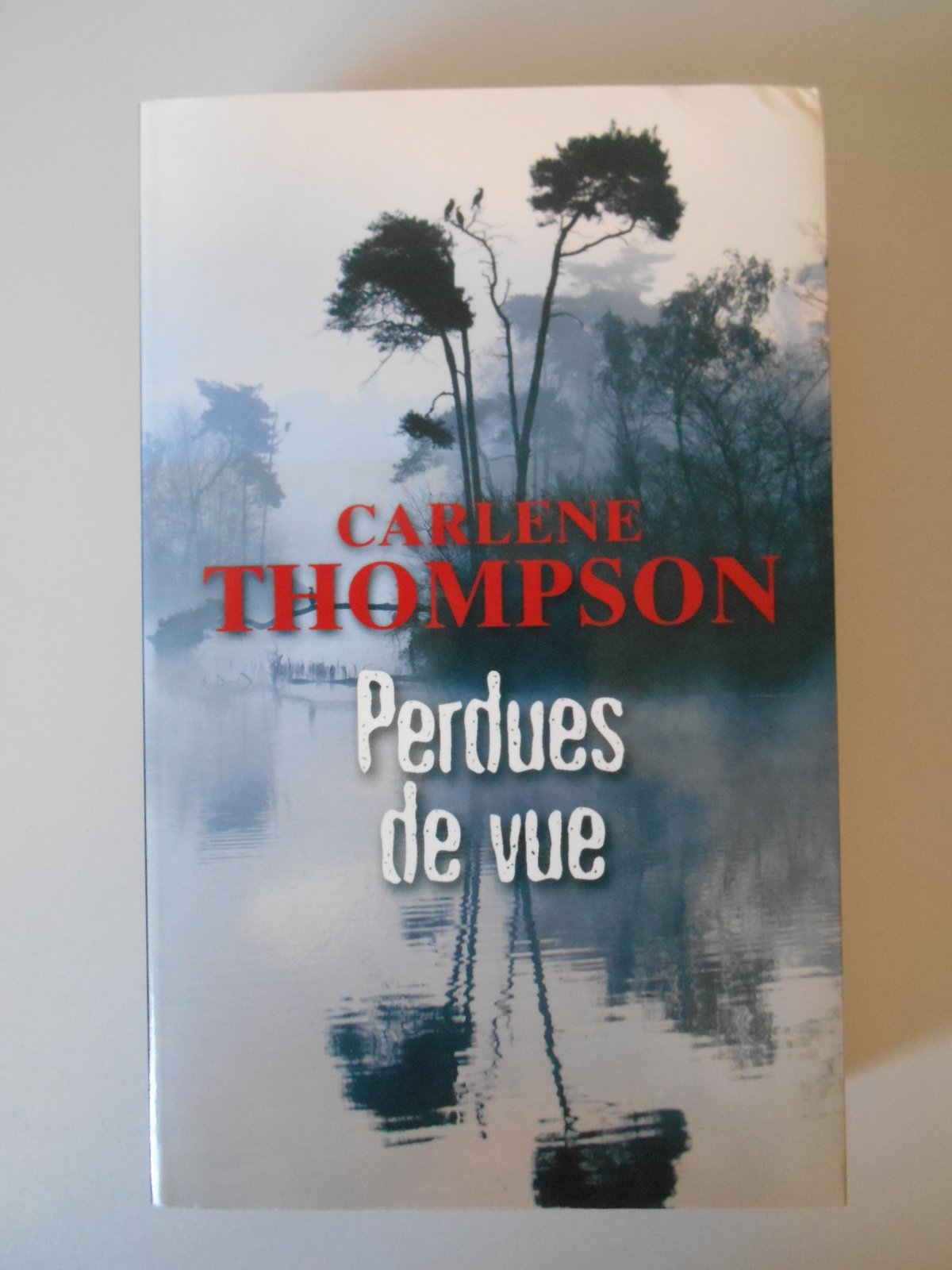 Perdues de vue 9782298015423