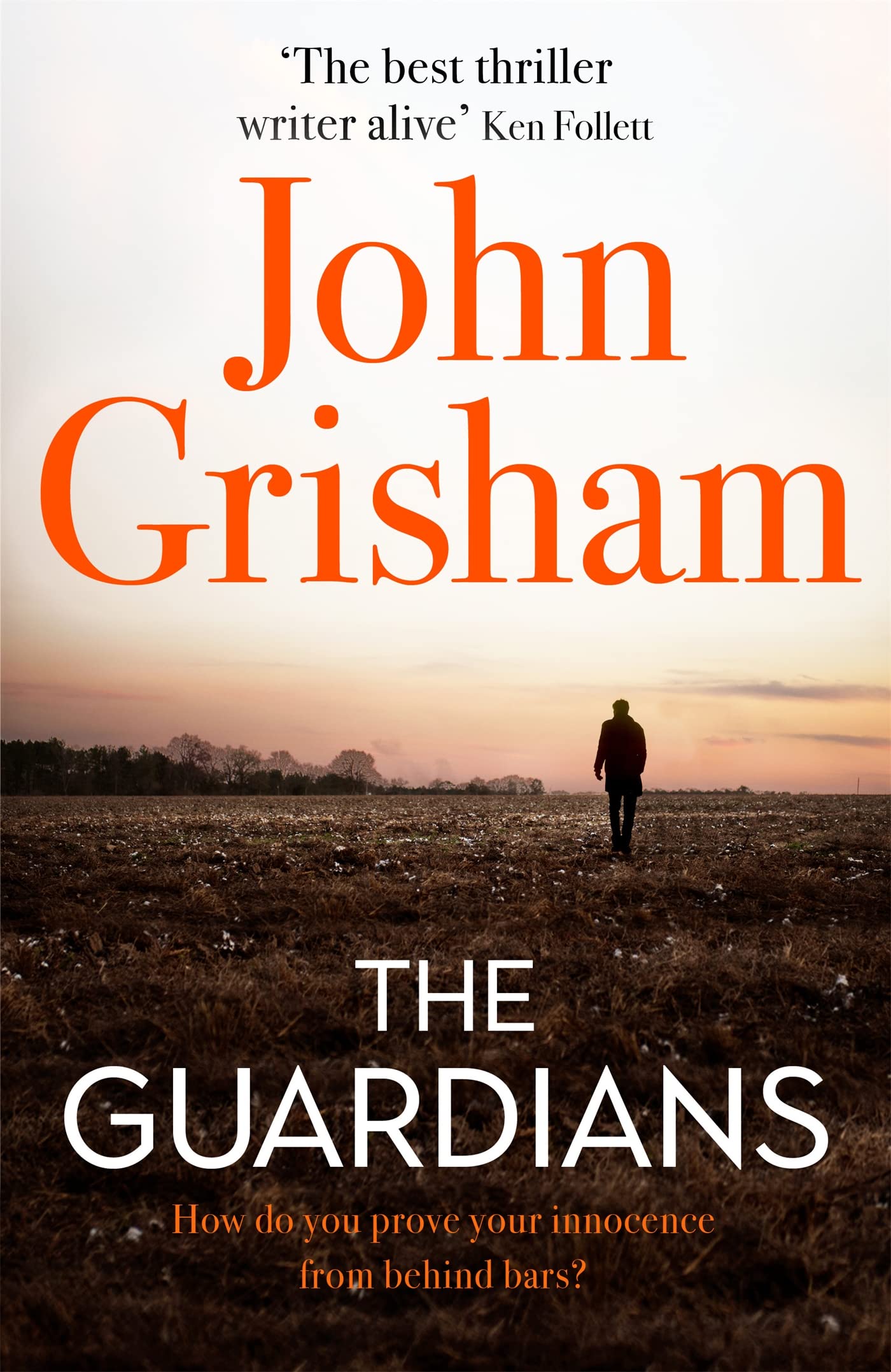 The Guardians: The Sunday Times Bestseller 9781473684430