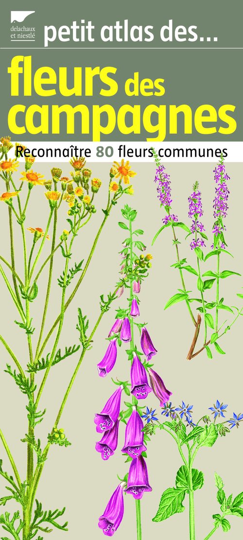 Petit atlas des fleurs des campagnes: Reconnaître 80 fleurs communes 9782603014233
