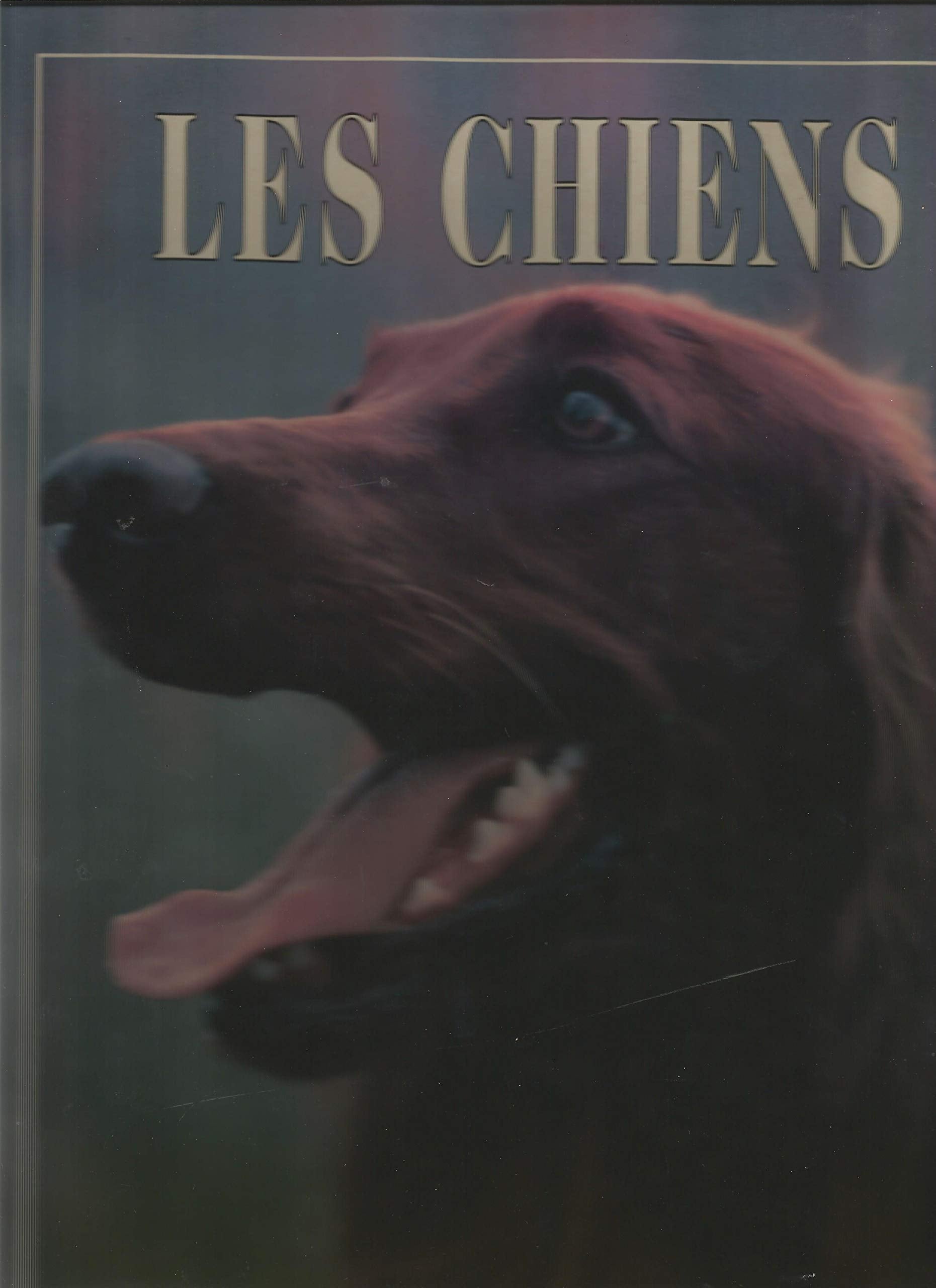 Les chiens 9782865352456