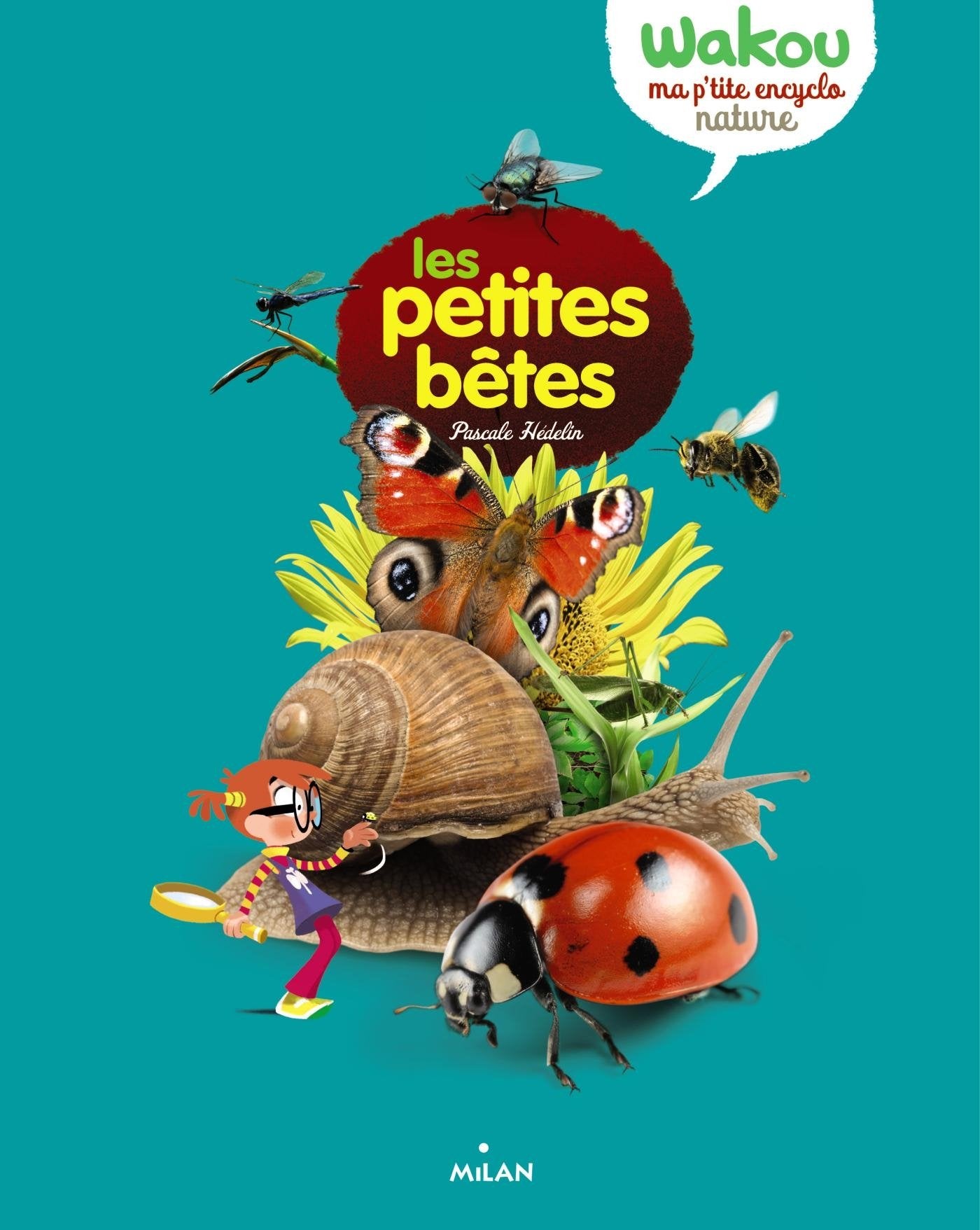Les petites bêtes 9782745962997