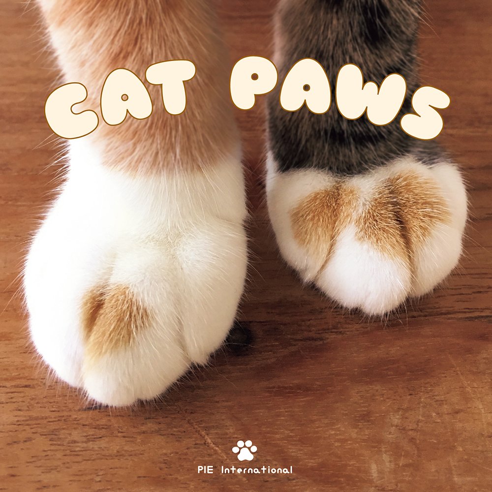 Cat paws 9784756250810