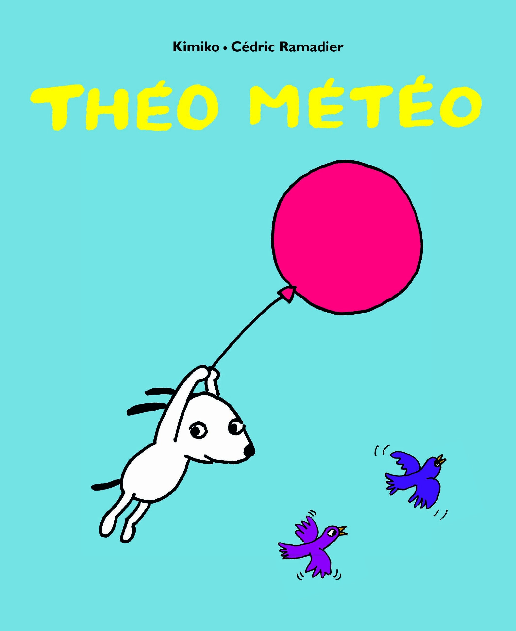 theo meteo 9782211214414