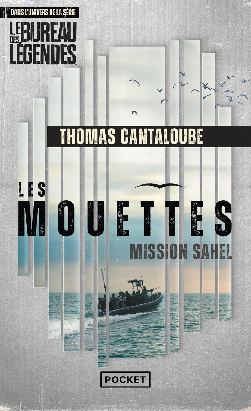 Les Mouettes - Mission Sahel 9782266352970