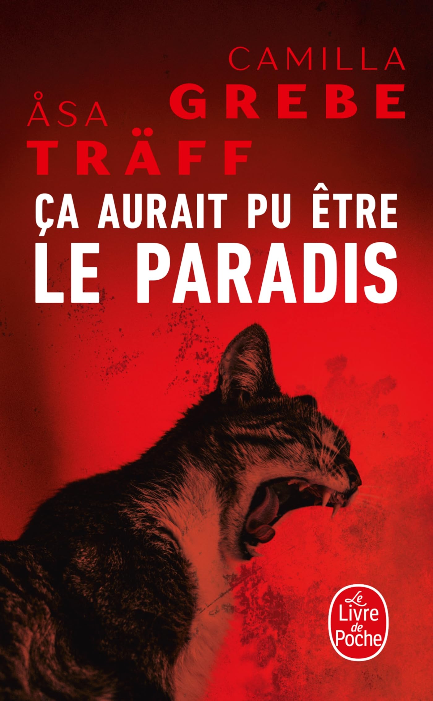 Ça aurait pu être le paradis (Siri Bergman, 1) 9782253245483