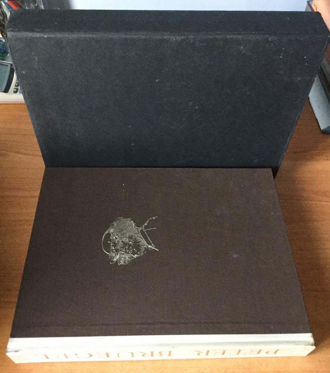 Notre Bruegel 9782732833965