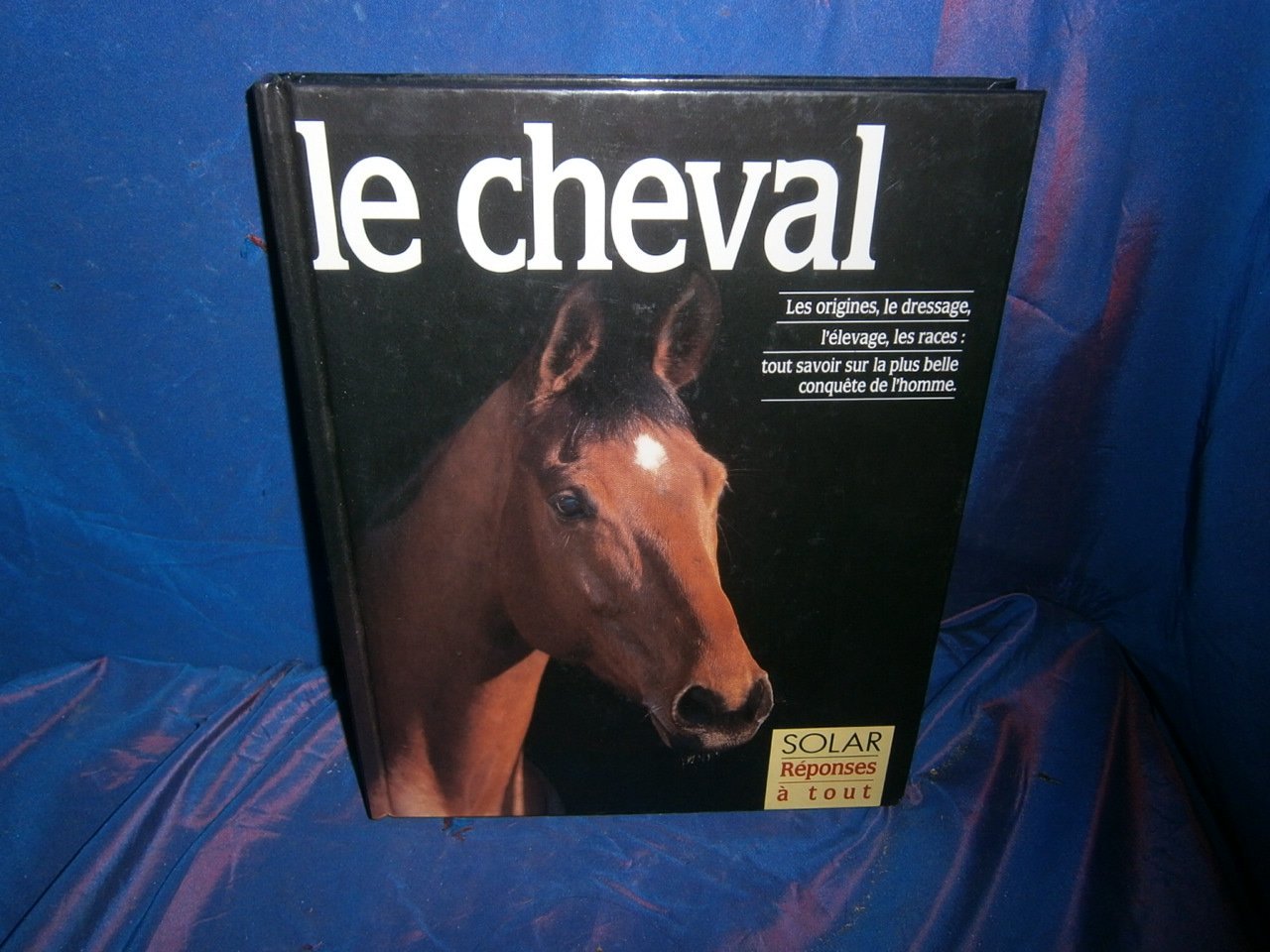 Réponse a tout : le cheval 9782263016585