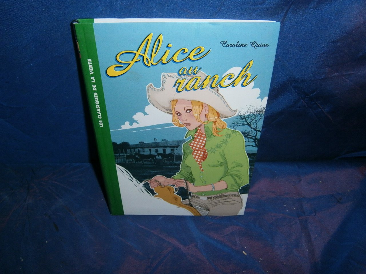 Poly: Ou la merveilleuse histoire d'un petit garçon et d'un poney 9782013212250