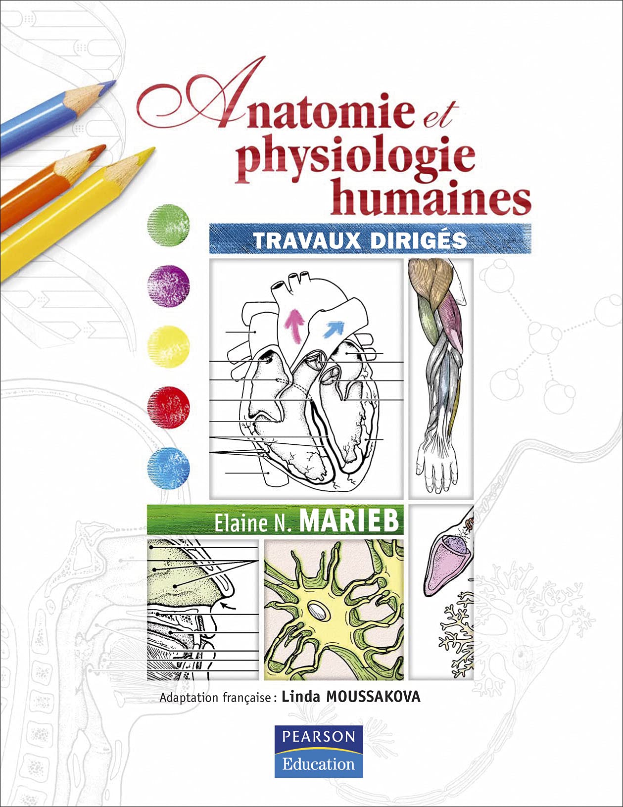 ANATOMIE ET PHYSIOLOGIE HUMAINES TRAVAUX DIRIGES 9782744072437