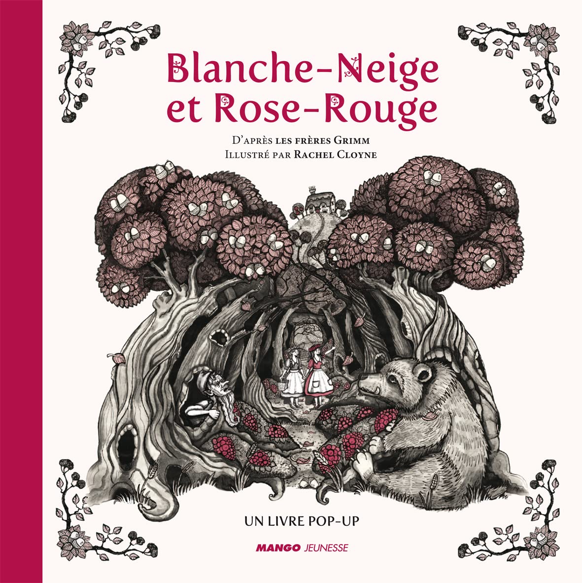 BLANCHE NEIGE ET ROSE ROUGE 9782740429884