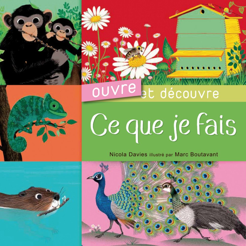 Ce que je fais 9782021074147