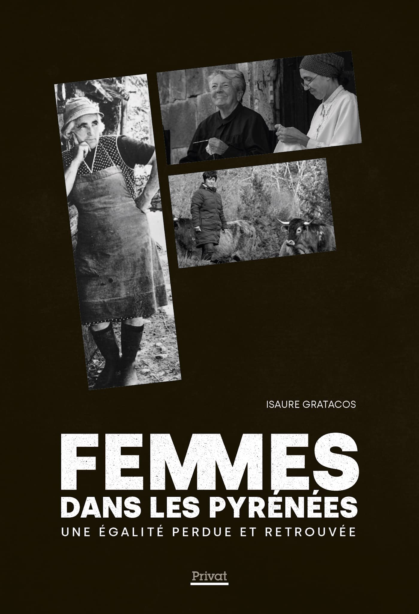 FEMMES DANS LES PYRÉNÉES: Une égalité perdue et retrouvée 9782708902626