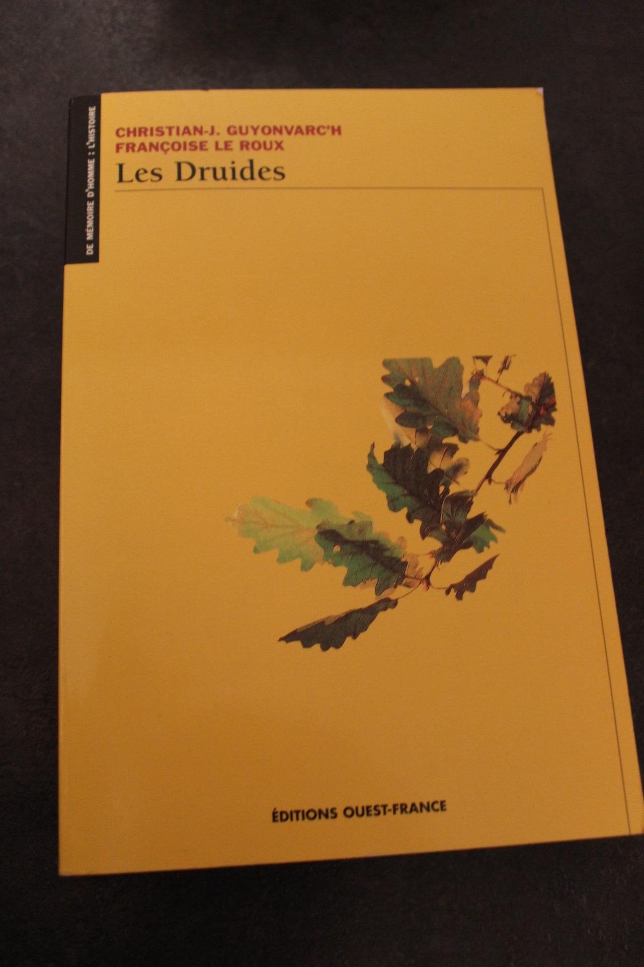 Les Druides 9782858829200