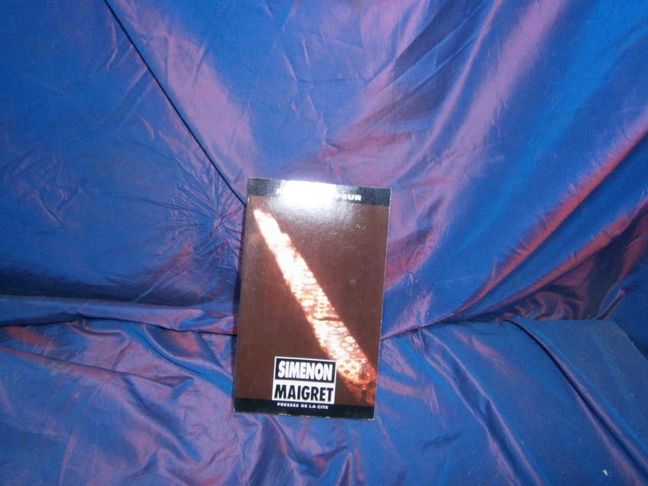 Maigret a peur 9782285001293