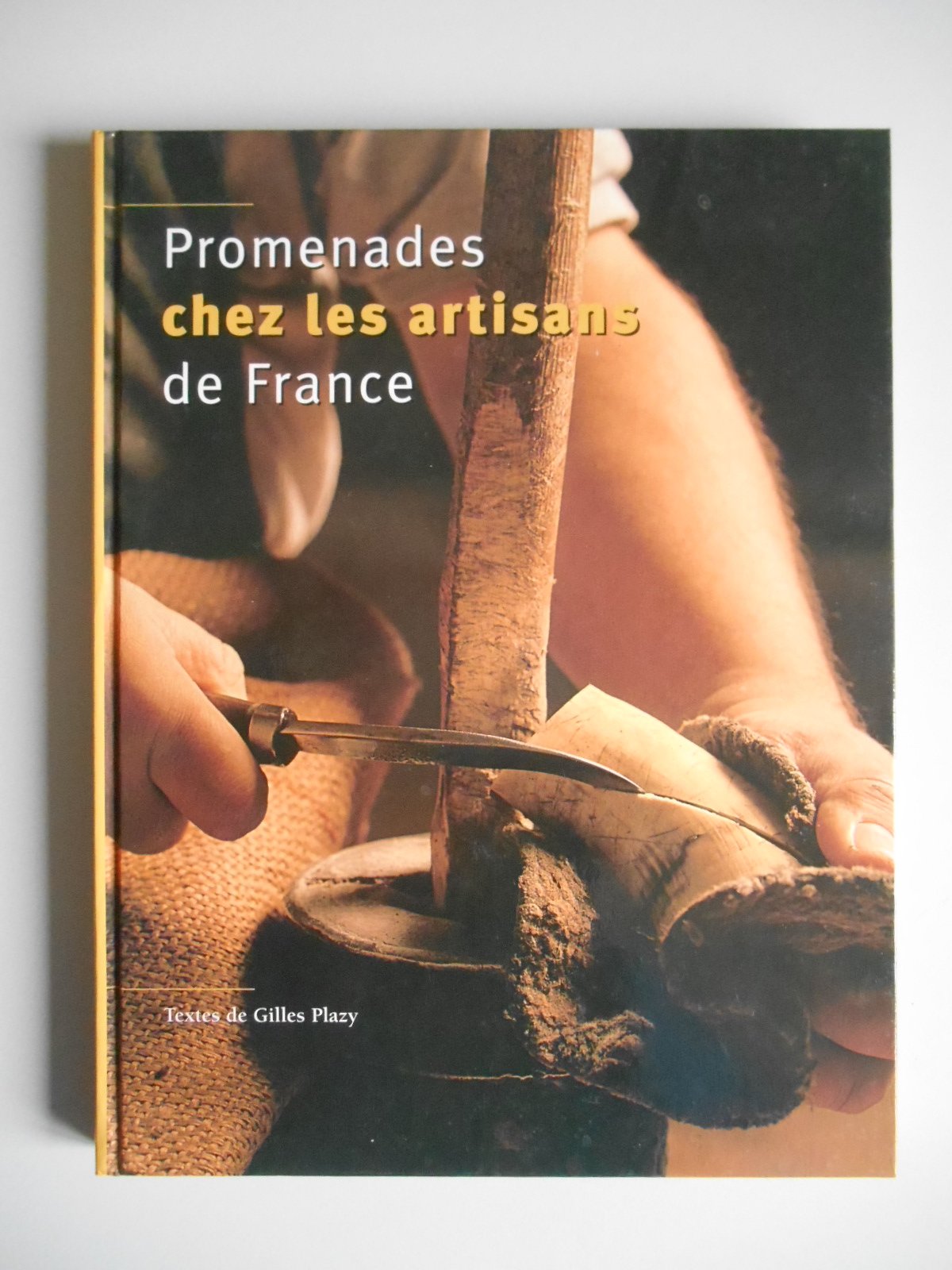 Promenades chez les artisans de France 9782842773366