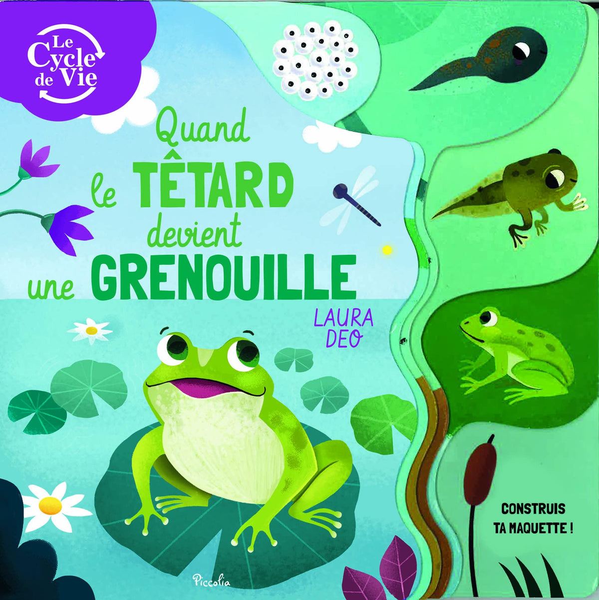 Quand le têtard devient une grenouille: Construis ta maquette ! 9782753072589