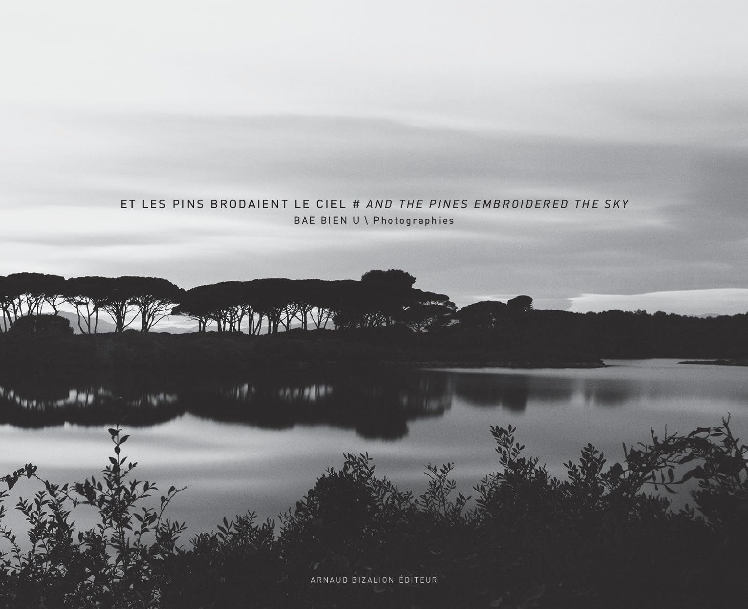 Et les pins brodaient le ciel 9782369801399