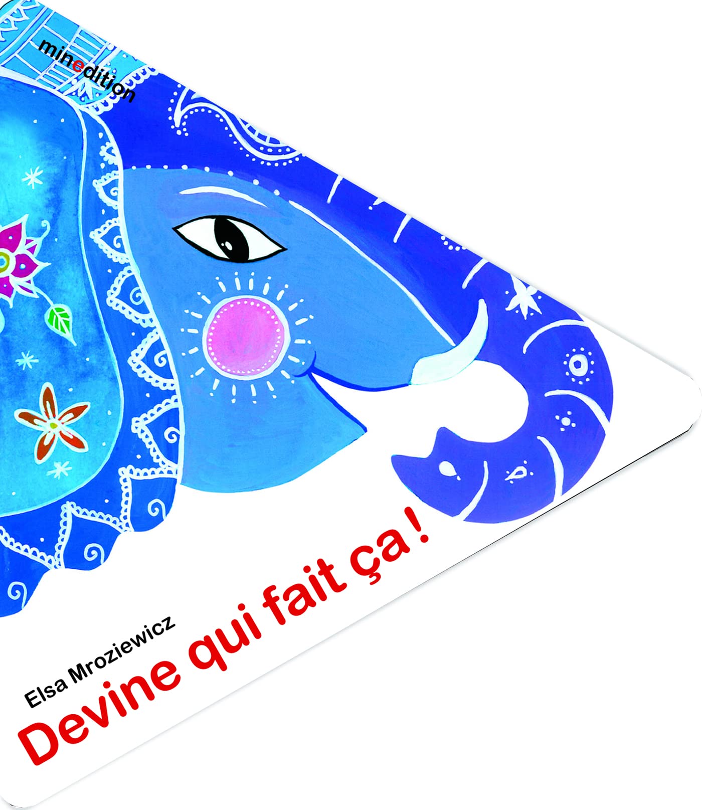 Devine qui fait ça ! 9782354134402