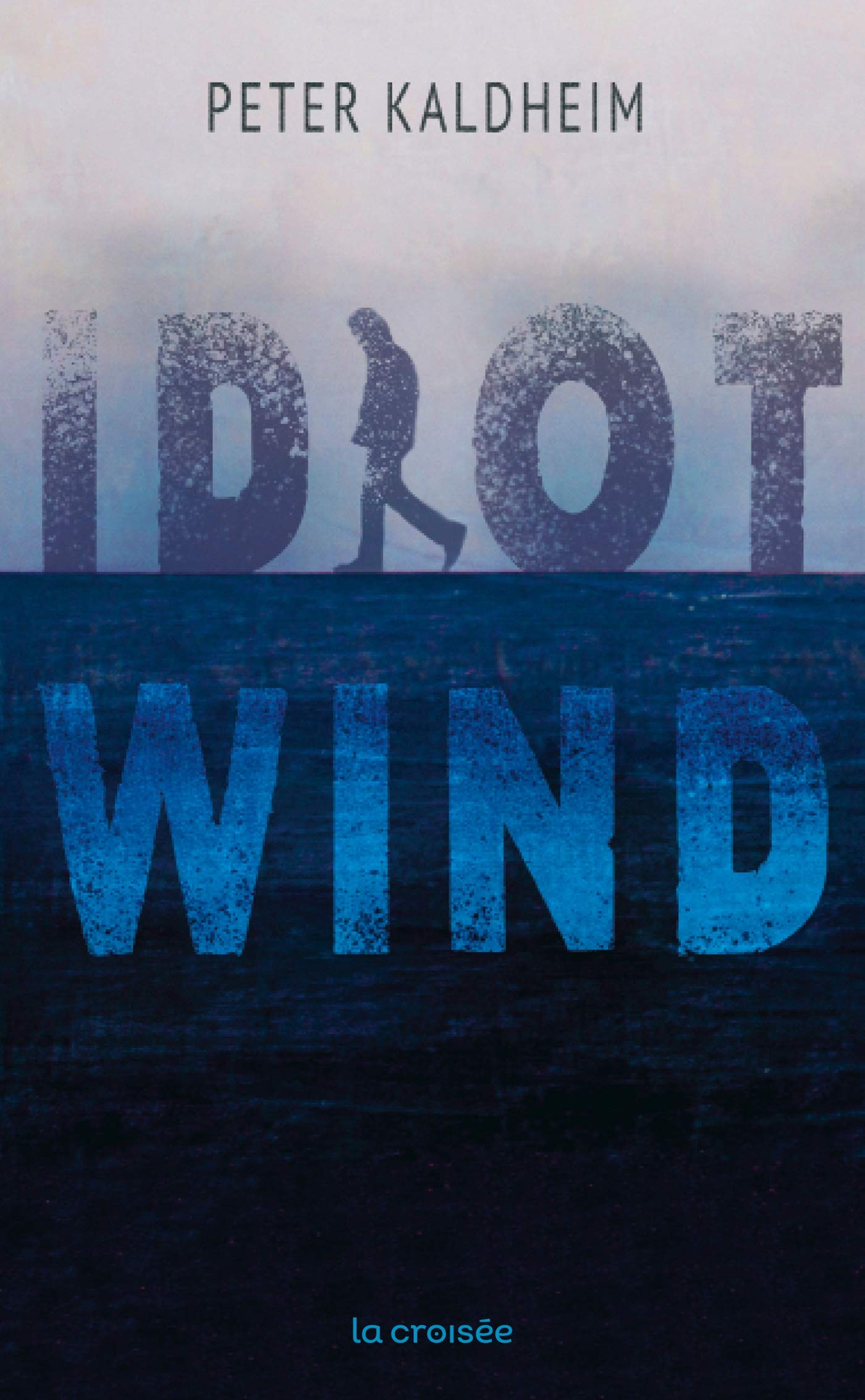 Idiot Wind 9782413019886