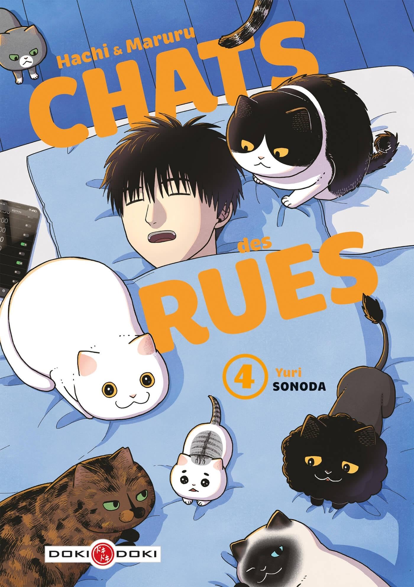 Hachi & Maruru - Chats des rues - vol. 04 9791041106707