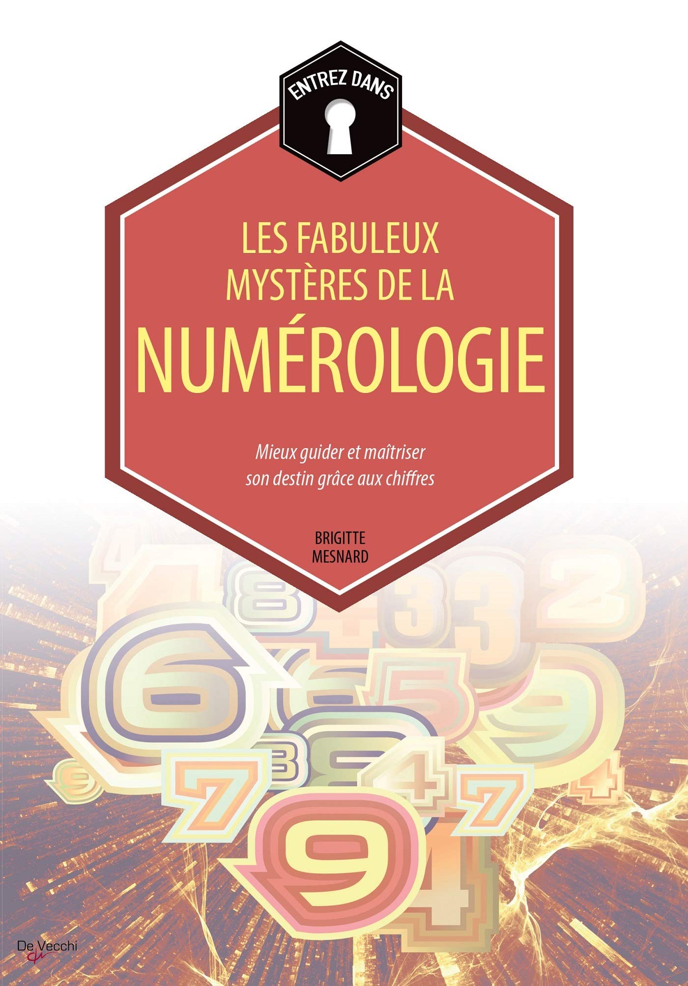 Les fabuleux mystères de la numérologie: Mieux guider et maîtriser son destin grâce aux chiffres 9782732898490