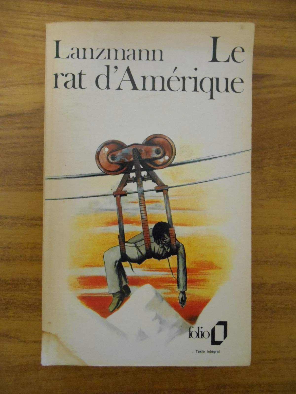 Le Rat d'Amérique 9782266014113