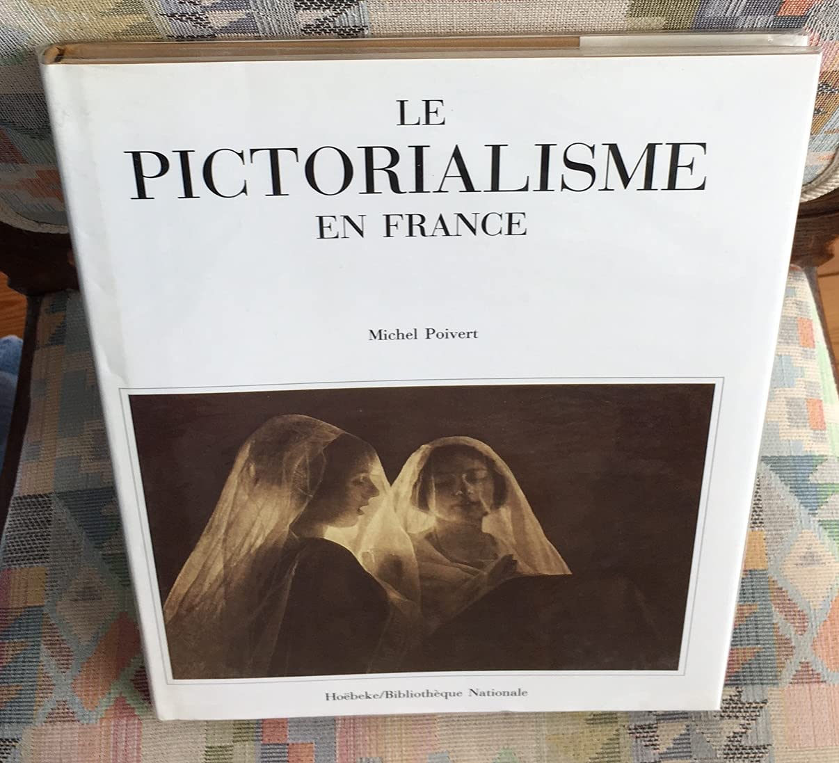 Le Pictorialisme en France 9782905292520