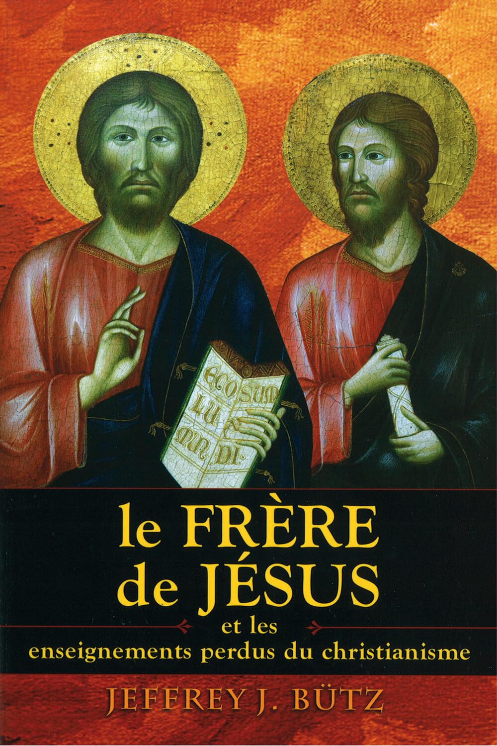 Le frère de Jésus et les enseignements perdus du christianisme 9782848910529