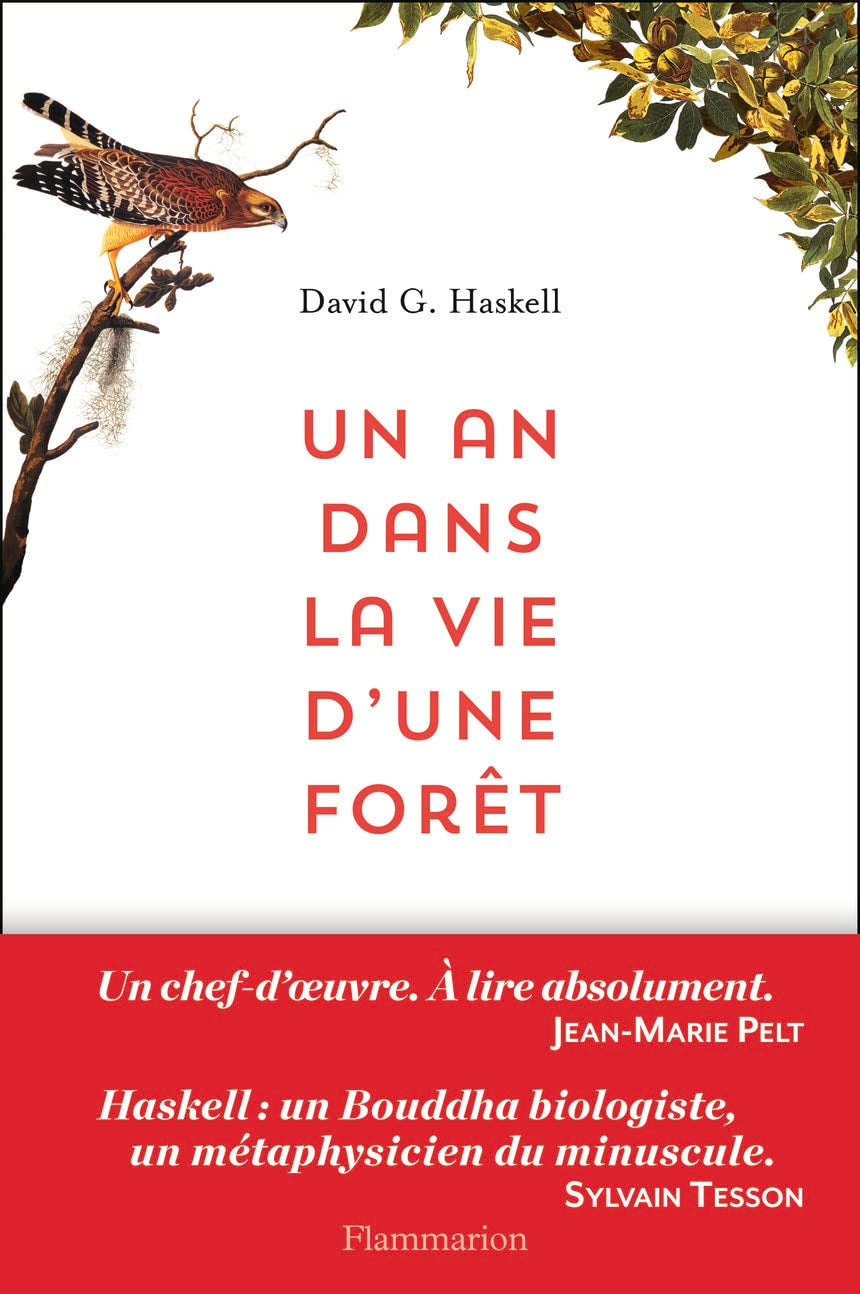 Un an dans la vie d'une forêt 9782081310384