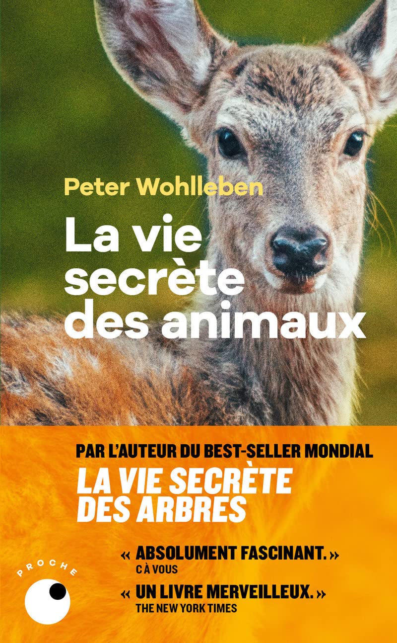 La Vie secrète des animaux 9782493909305