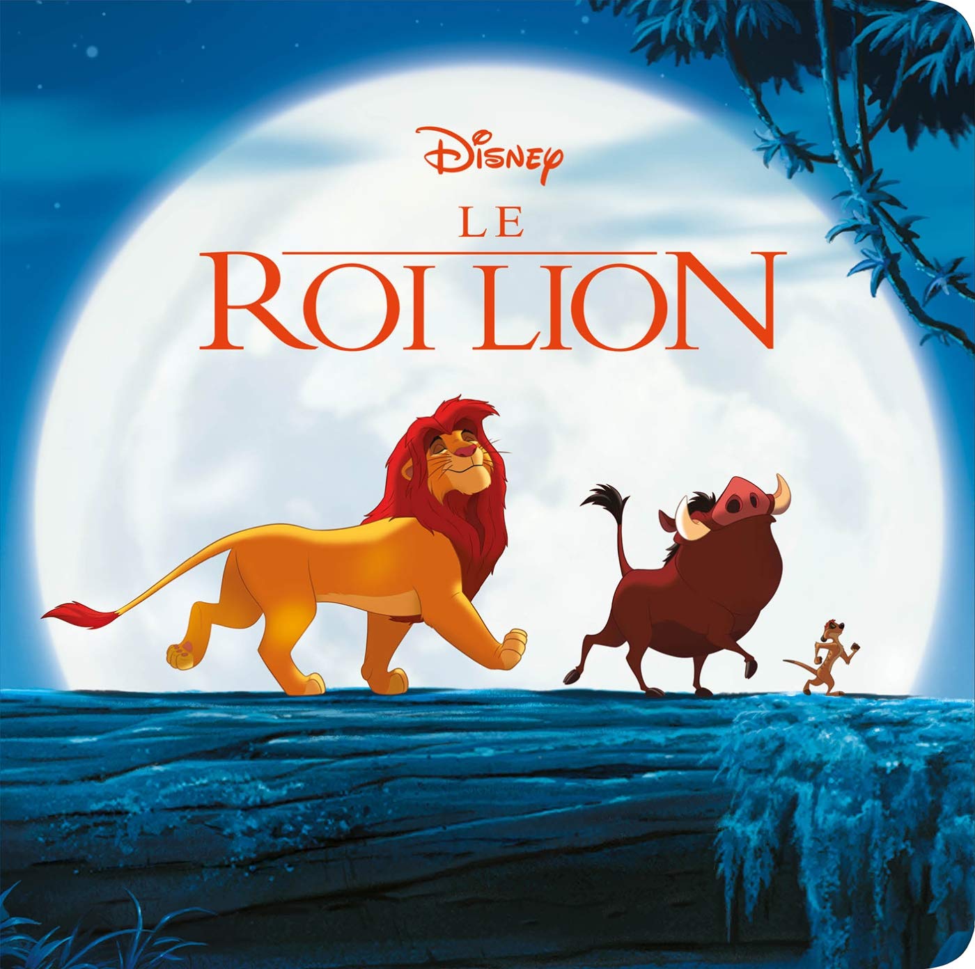 LE ROI LION - Monde Enchanté - L'histoire du film - Disney: . 9782017087908