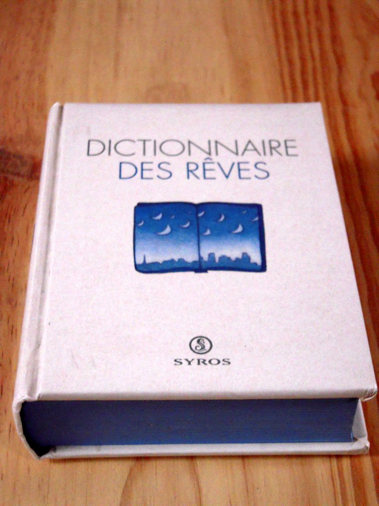 Dictionnaire des rêves 9782841460649