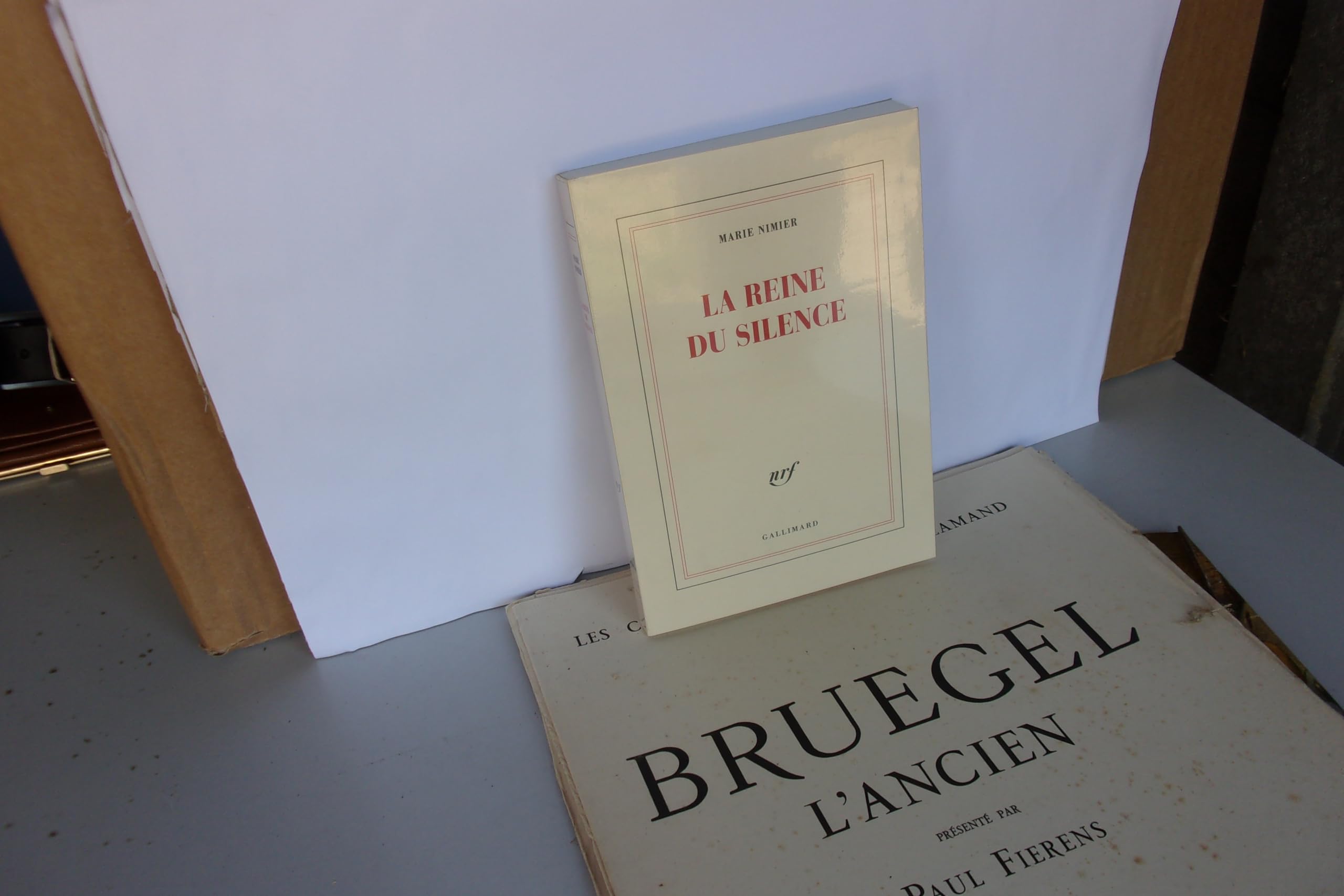 La Reine du silence 9782702896723