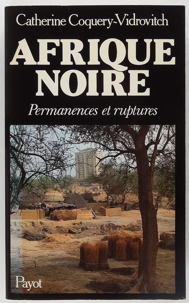 Afrique noire : Permanences et ruptures (Aux origines de notre temps) 9782228560801