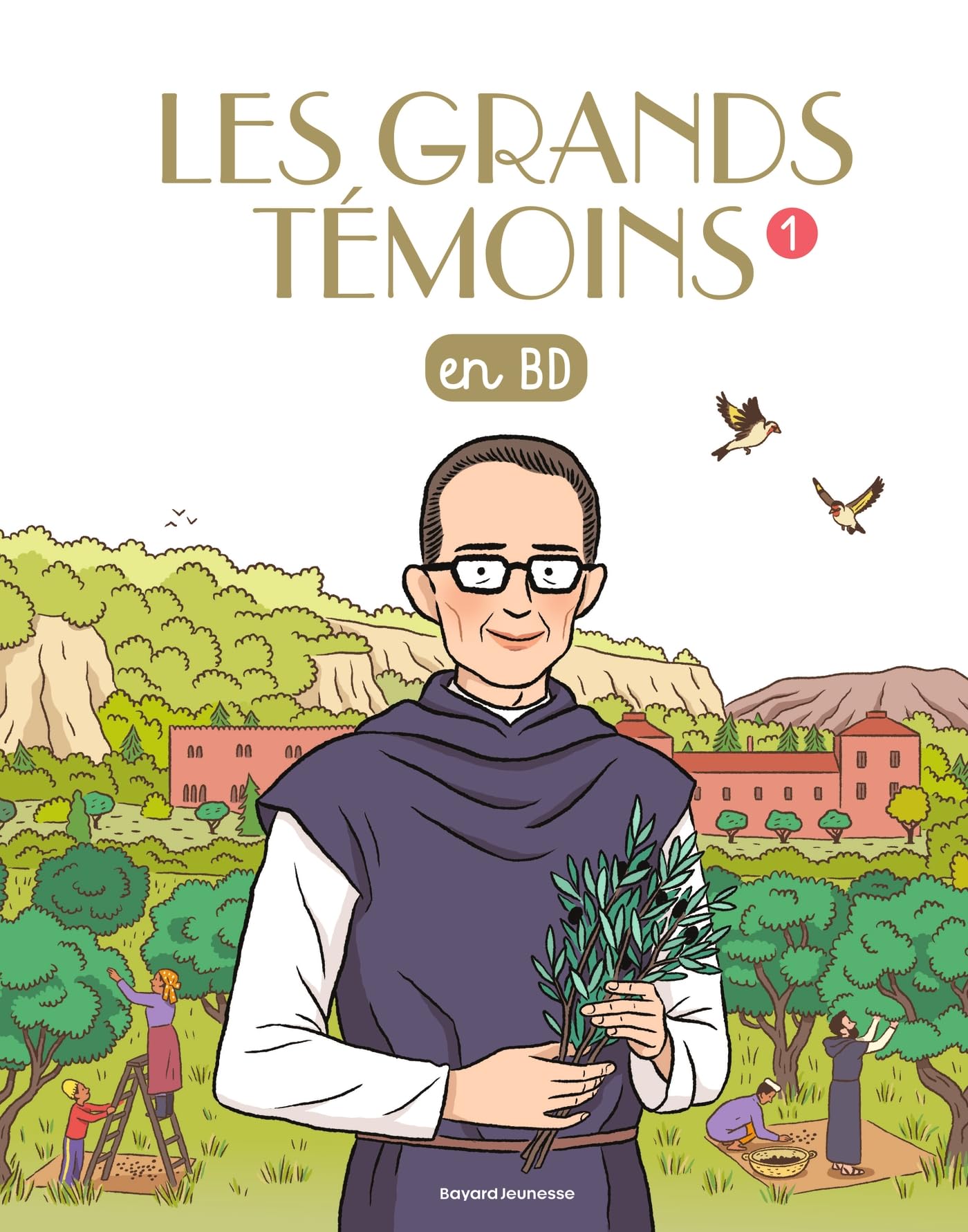 Les Grands Temoins en BD , Tome 01: Les grands témoins en BD 9782747039932