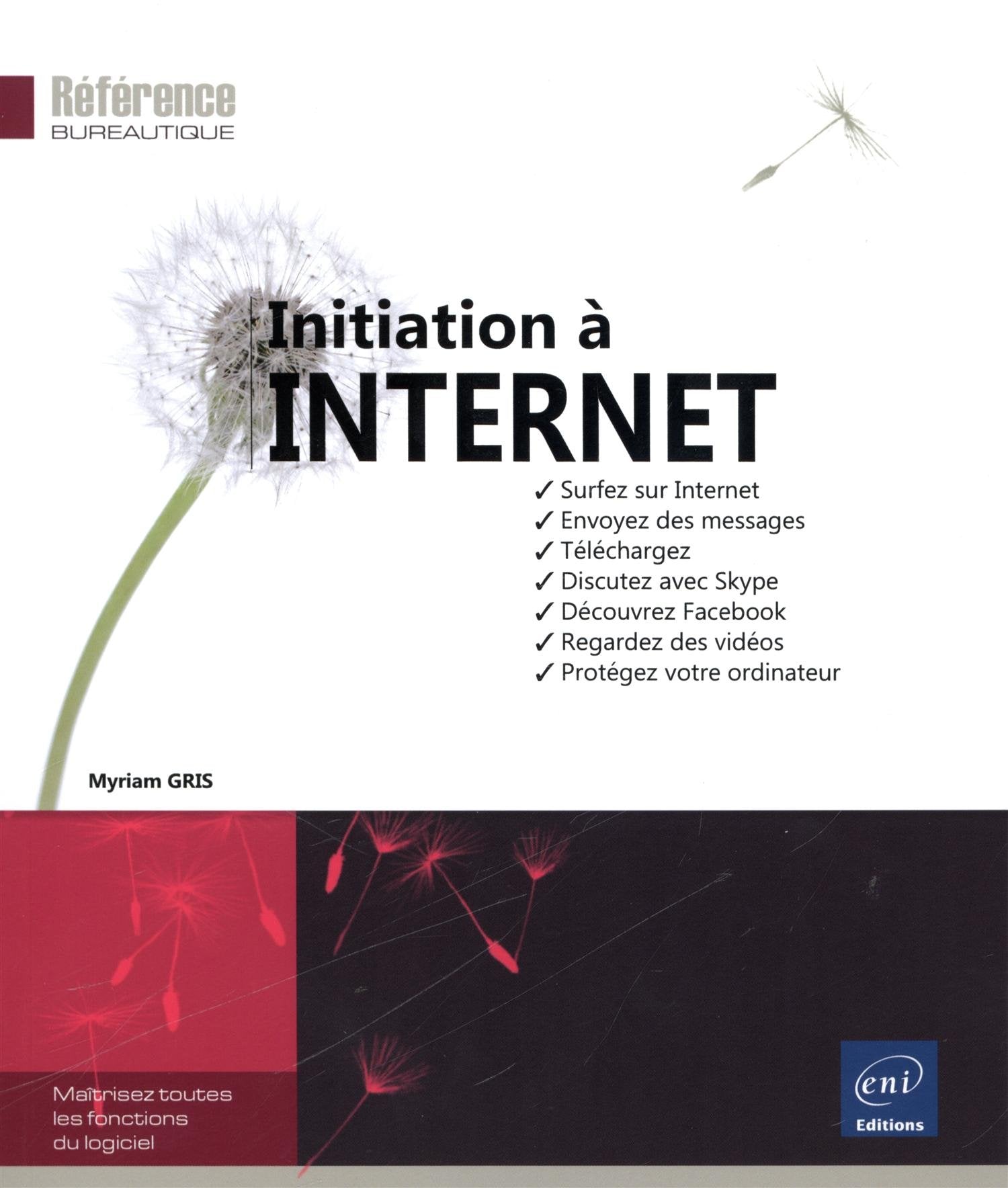 Initiation à Internet: Surfez sur Internet, envoyez des messages, téléchargez, discutez avec Skype, découvrez Facebook... 9782746089105