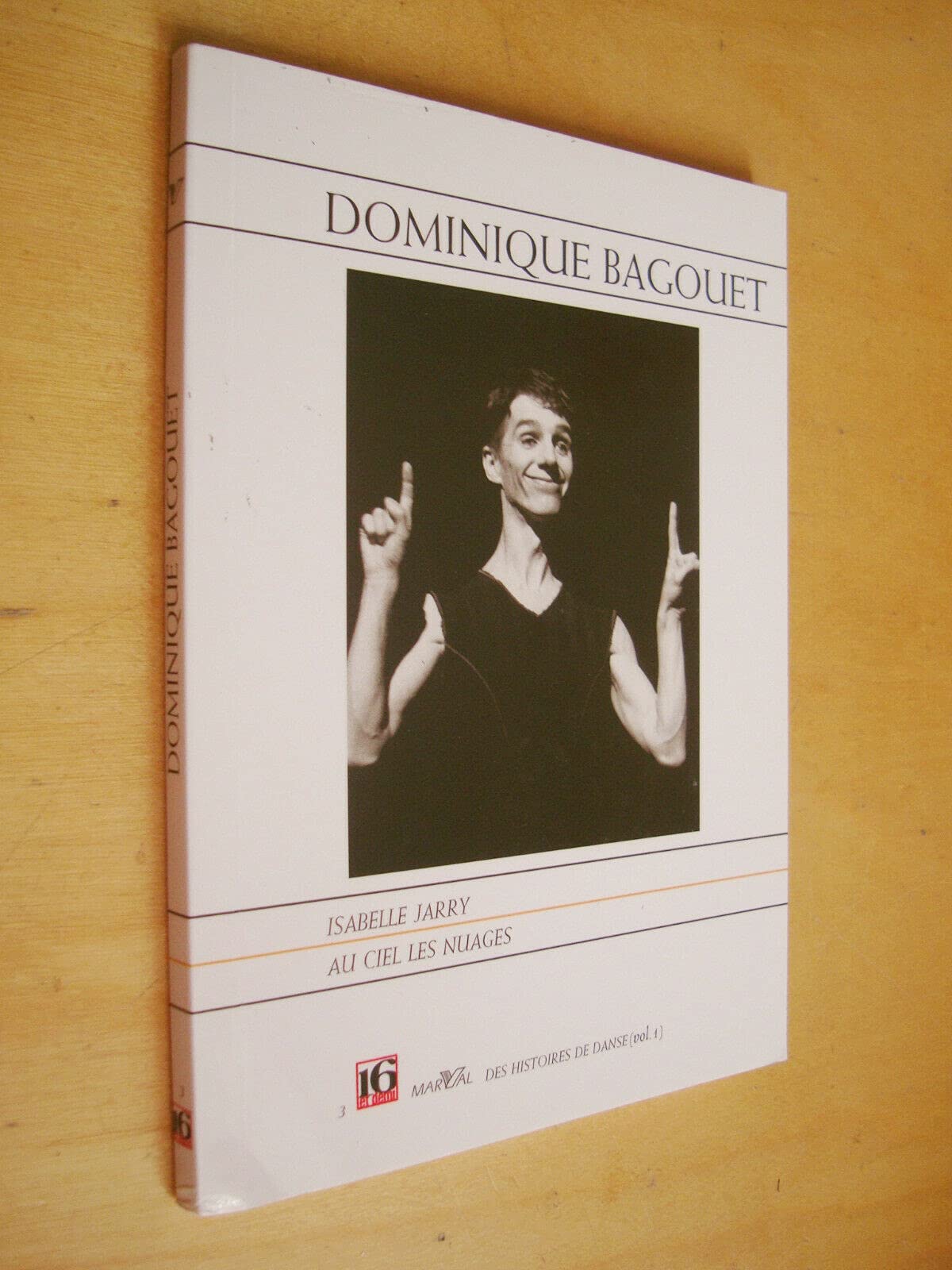 Dominique Bagouet: Au ciel les nuages, hommage à Dominique Bagouet 9782862342665