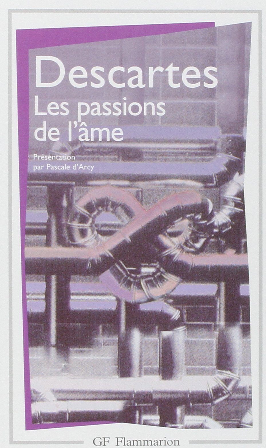 Les Passions de l'âme 9782080708656