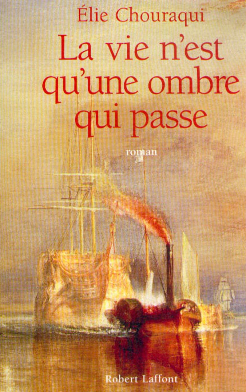 La vie n'est qu'une ombre qui passe 9782221088906