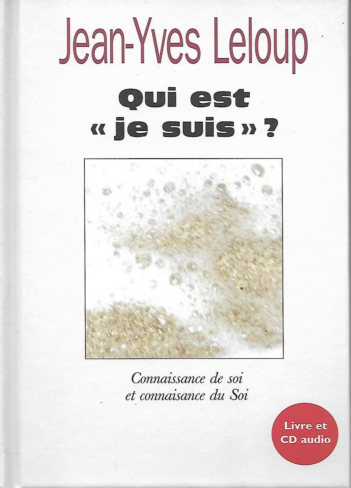 Qui est "je suis" 9782286056865