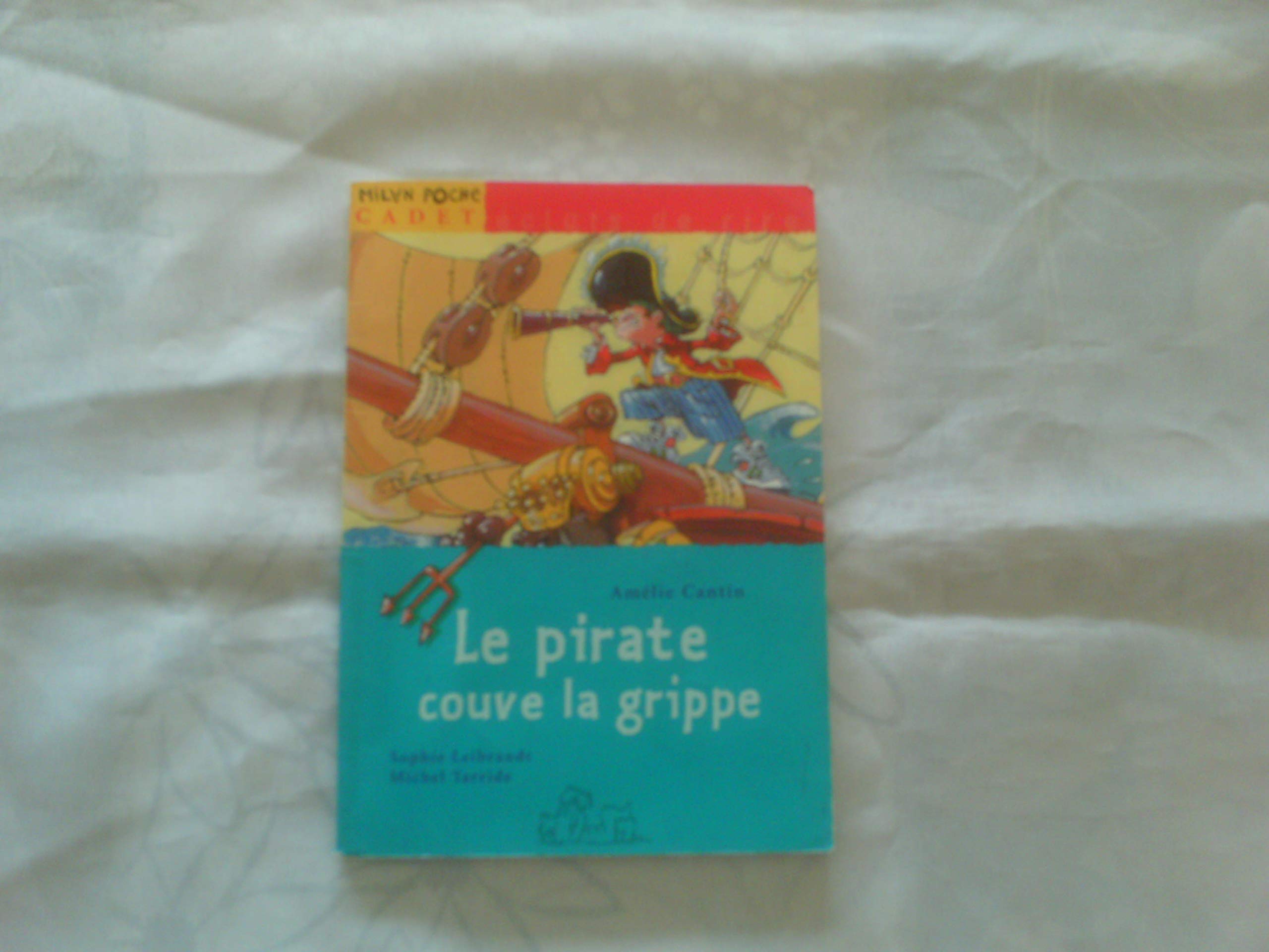 Le Pirate couve la grippe 9782841138562