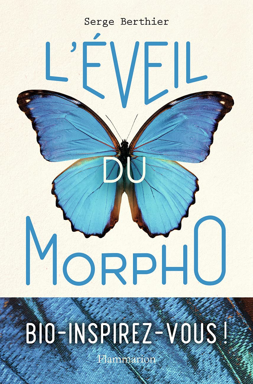 L'éveil du Morpho 9782080244260