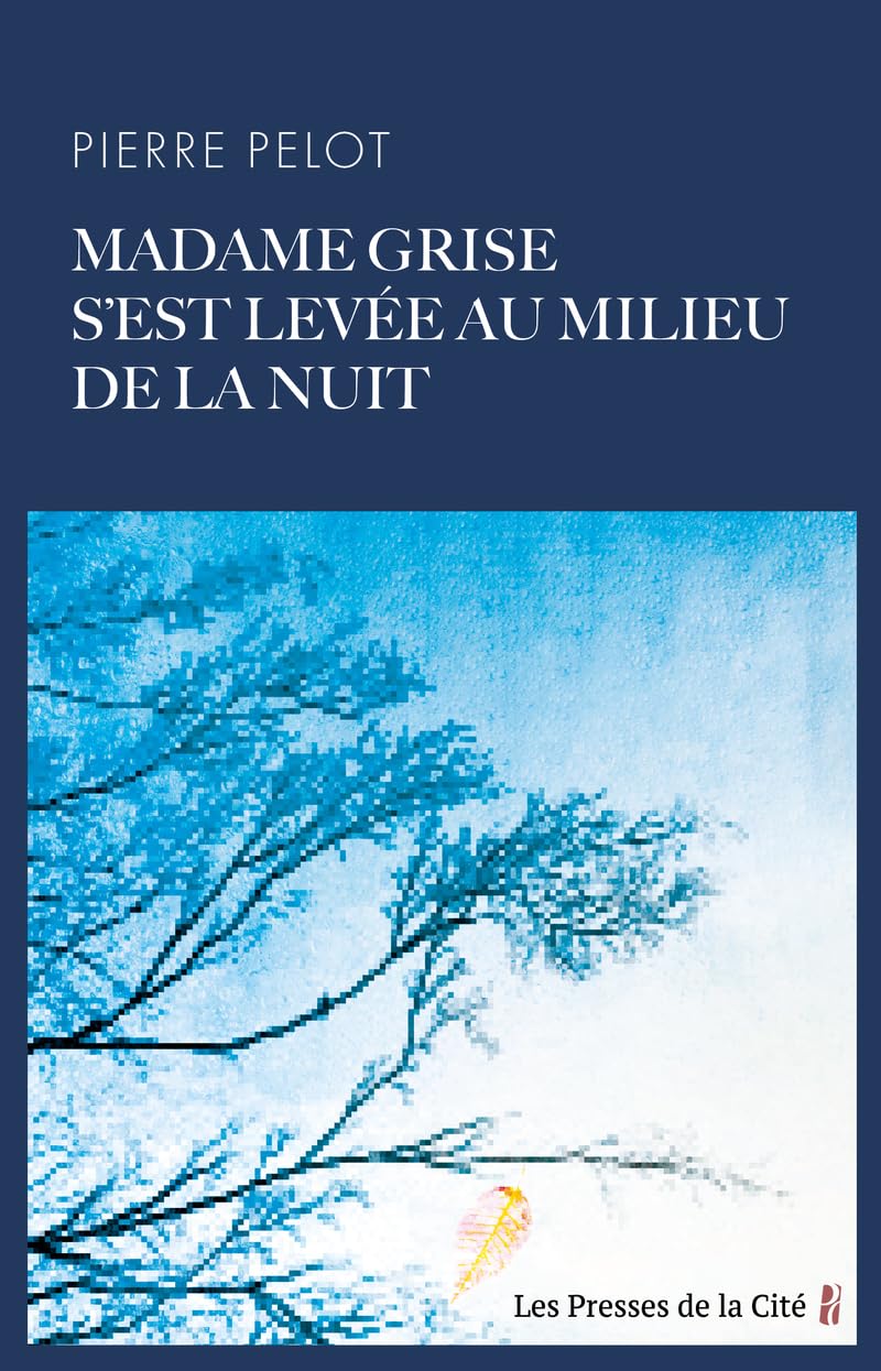 Madame Grise s'est levée au milieu de la nuit 9782258204232