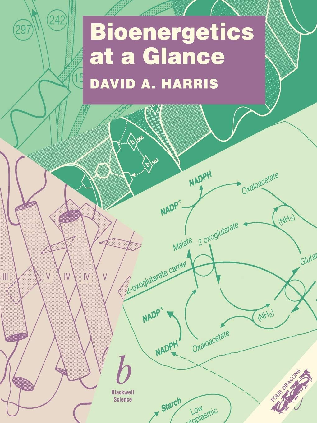 Bioenergetics at a Glance 9780632023882