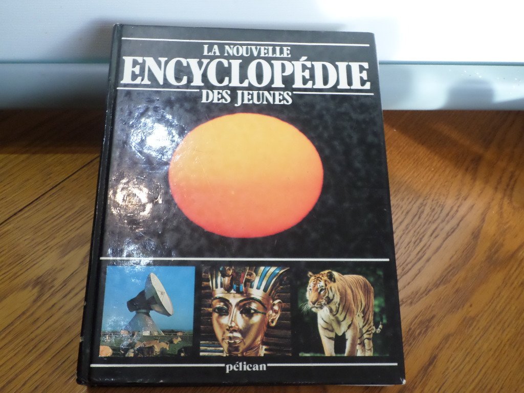 La nouvelle encyclopédie des jeunes 9782261014569