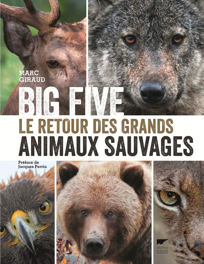 Big Five: Le Retour des grands animaux sauvages 9782603025925