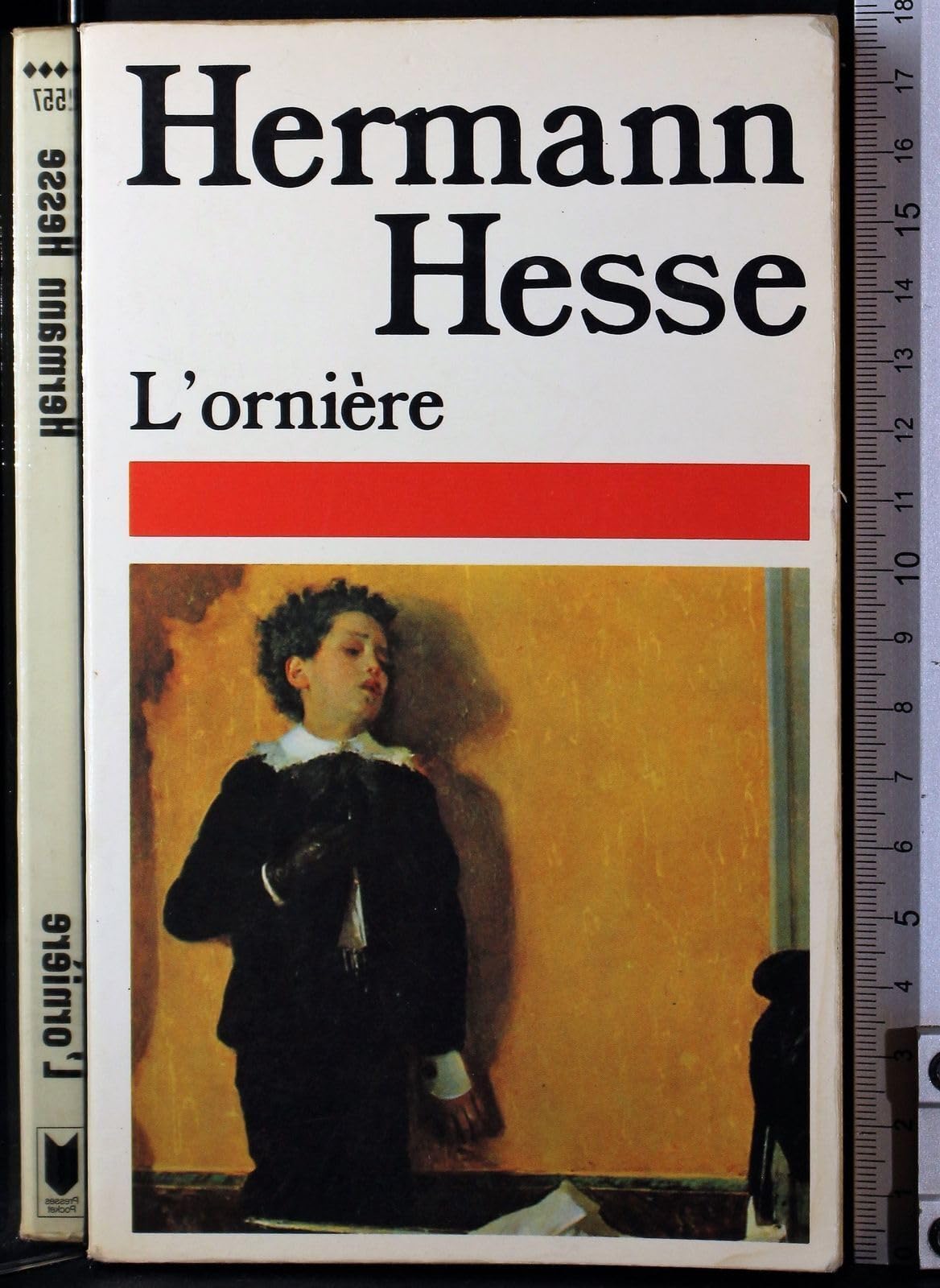 L'Ornière 9782266018685