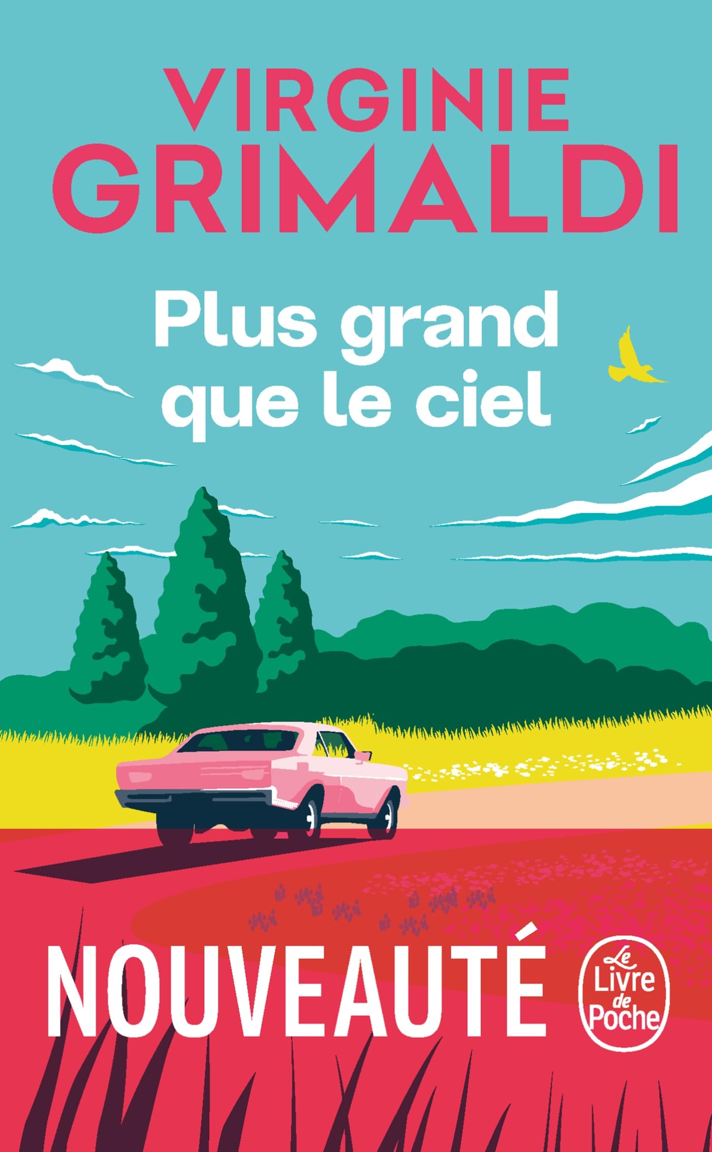 Plus grand que le ciel 9782253251675