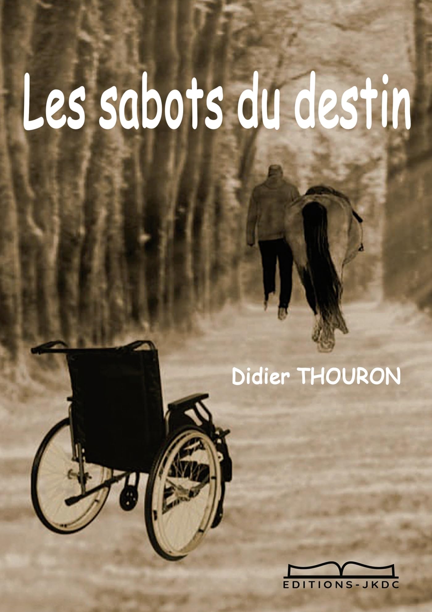 LES SABOTS DU DESTIN 9782492751455