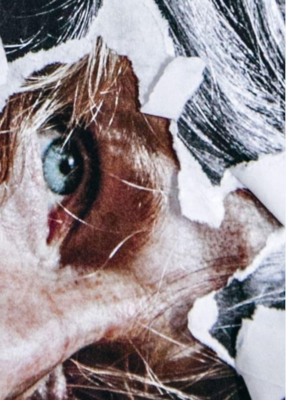 Je vous écris avec la chair des mots 9782369801955